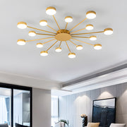 Sunflower Creative LED Ceiling Light for Living Room