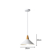 Minimalist White Disc Iron Pendant Light