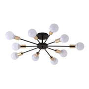 Black Simple Iron Multi-Head Chandelier For Bedroom
