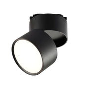 Contemporary Mini Surface Mounted Adjustable Ceiling Lamp