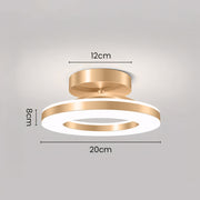 Gold Simple Iron Hallway LED Dimmable Ceiling Light