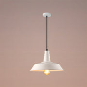 Retro Industrial Iron Art Pendant Light Dining Room