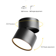 Contemporary Mini Surface Mounted Adjustable Ceiling Lamp