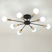 Black Simple Iron Multi-Head Chandelier For Bedroom