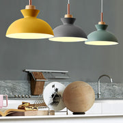 Simple Stained Iron Round Pendant Light