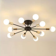 Black Simple Iron Multi-Head Chandelier For Bedroom