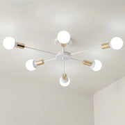 Black Simple Iron Multi-Head Chandelier For Bedroom