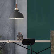 Simple Stained Iron Round Pendant Light