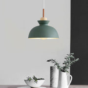 Simple Stained Iron Round Pendant Light