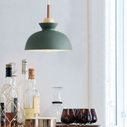 Simple Stained Iron Round Pendant Light