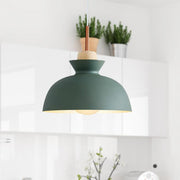 Simple Stained Iron Round Pendant Light