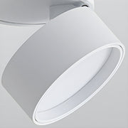 Contemporary Mini Surface Mounted Adjustable Ceiling Lamp