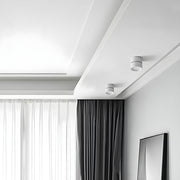 Contemporary Mini Surface Mounted Adjustable Ceiling Lamp