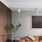 Contemporary Mini Surface Mounted Adjustable Ceiling Lamp