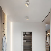 Contemporary Mini Surface Mounted Adjustable Ceiling Lamp