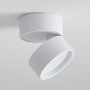 Contemporary Mini Surface Mounted Adjustable Ceiling Lamp