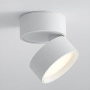 Contemporary Mini Surface Mounted Adjustable Ceiling Lamp