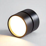 Contemporary Mini Surface Mounted Adjustable Ceiling Lamp