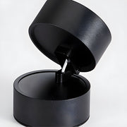 Contemporary Mini Surface Mounted Adjustable Ceiling Lamp