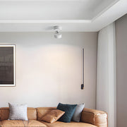 Contemporary Mini Surface Mounted Adjustable Ceiling Lamp
