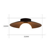 Contemporary Minimalist Entrance Ceiling Lights