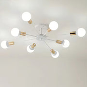 Black Simple Iron Multi-Head Chandelier For Bedroom