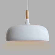 Contemporary Acorn Pendant Lamp