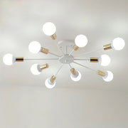 Black Simple Iron Multi-Head Chandelier For Bedroom