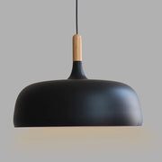 Contemporary Acorn Pendant Lamp
