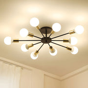 Black Simple Iron Multi-Head Chandelier For Bedroom