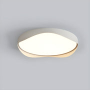 Contemporary Flush Mount LED Dimmable Ceiling Lamp