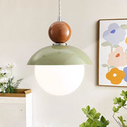 Modern Globe Ceiling Pendant Light with Glass Lampshade