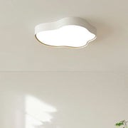 Modern Metal White LED Ceiling Light