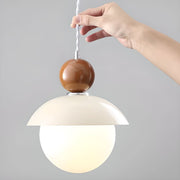 Modern Globe Ceiling Pendant Light with Glass Lampshade