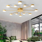 Sunflower Creative LED Ceiling Light for Living Room