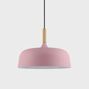 Contemporary Acorn Pendant Lamp