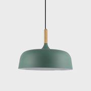 Contemporary Acorn Pendant Lamp