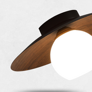 Contemporary Minimalist Entrance Ceiling Lights