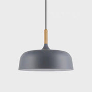 Contemporary Acorn Pendant Lamp