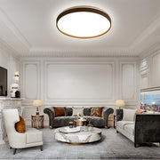 Minimalist Round Multicolour LED Living Room Ceiling Lamps