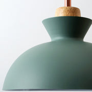 Simple Stained Iron Round Pendant Light