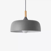 Contemporary Acorn Pendant Lamp