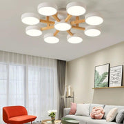 Modern Acrylic Bedroom Ceiling Light