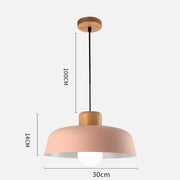 Colourful Nordic Creative Wooden Pendant Lamp