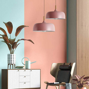 Contemporary Acorn Pendant Lamp