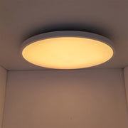 Smart LED Ceiling Light with Remote Control and App Control