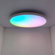 Smart LED Ceiling Light with Remote Control and App Control