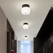 Small Metal Nordic Cute Hallway LED Ceiling Light