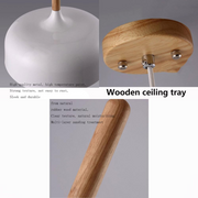 Contemporary Acorn Pendant Lamp