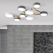 Multi Heads Branch Iron Bedroom LED Ceiling Light